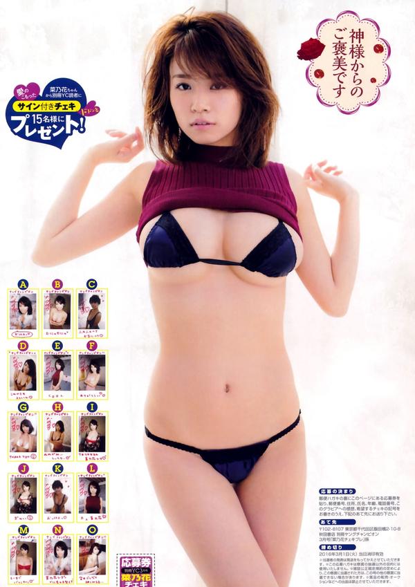 [Young Champion Extra] 2016.02 No.03 菜乃花 安枝瞳 葉月あや